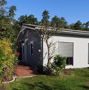 Villa Ferienhaus mit Garten Graal-Mueritz Exterior photo