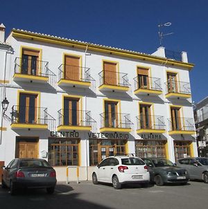 Ferienwohnung Apartamento Terranova La Placeta Alhama de Granada Exterior photo