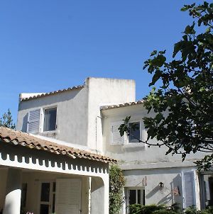 Villa Le Mas Des Figuiers Arles Exterior photo