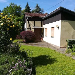 Villa Ferienhaus am Park Diez Exterior photo