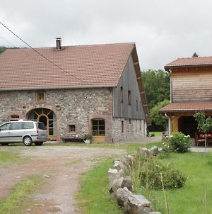 Gites Typiques Au Coeur Des Hautes Vosges Saulxures-sur-Moselotte Exterior photo