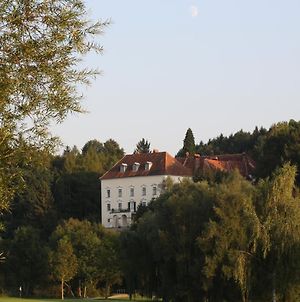 Hotel Schloss Ernegg Steinakirchen Am Forst Exterior photo
