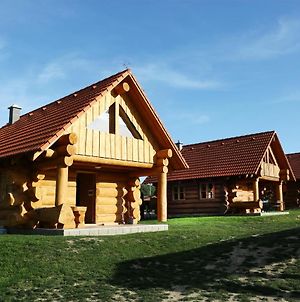 Villa Na Samote Ve Srubu Pilsen Exterior photo
