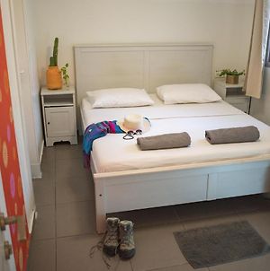 Florentine Backpackers Hostel - ages 18-55 Tel Aviv-Jaffa Room photo