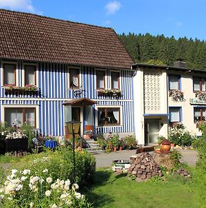 Haus Grüne Insel - Ferienwohnungen Altenau  Exterior photo
