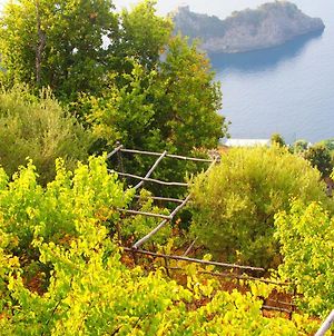 Ferienwohnung Giardino Sul Mare Amalfi Exterior photo