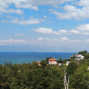 The Brothers Villa Hotel Ohrid Exterior photo