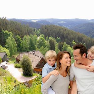 Ferienwohnung Nachhaltige Ferienwohungen Gibbesbachhof Triberg im Schwarzwald Exterior photo