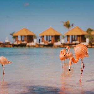 Renaissance Wind Creek Aruba Resort Oranjestad Exterior photo