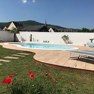 Alsacebnb - Gite 12 Personnes Dans Le Vignoble - Piscine Privee Chauffee & Spa Ammerschwihr Exterior photo