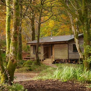 Villa Woodland Cabins, Glencoe Ballachulish Exterior photo