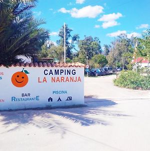 Hotel Camping La Naranja Gandía Exterior photo